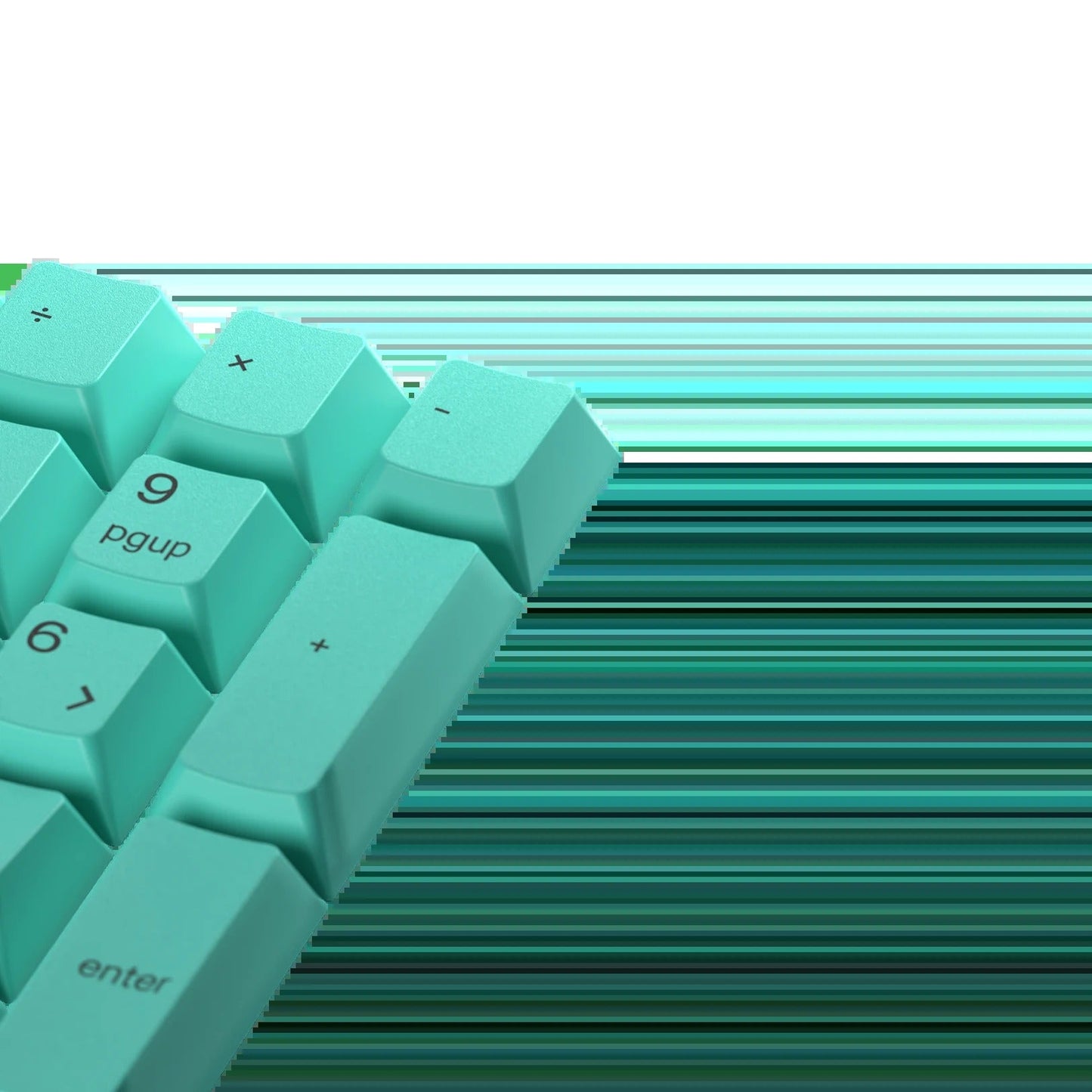 Keycaps Rainforest US