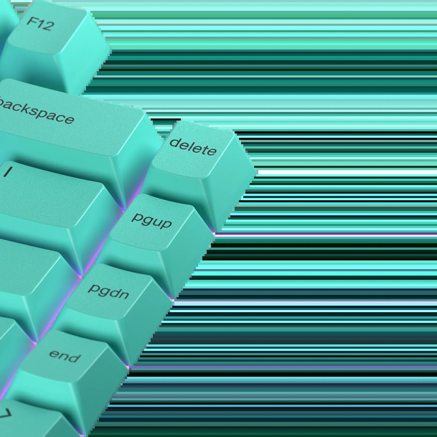 Keycaps Rainforest US