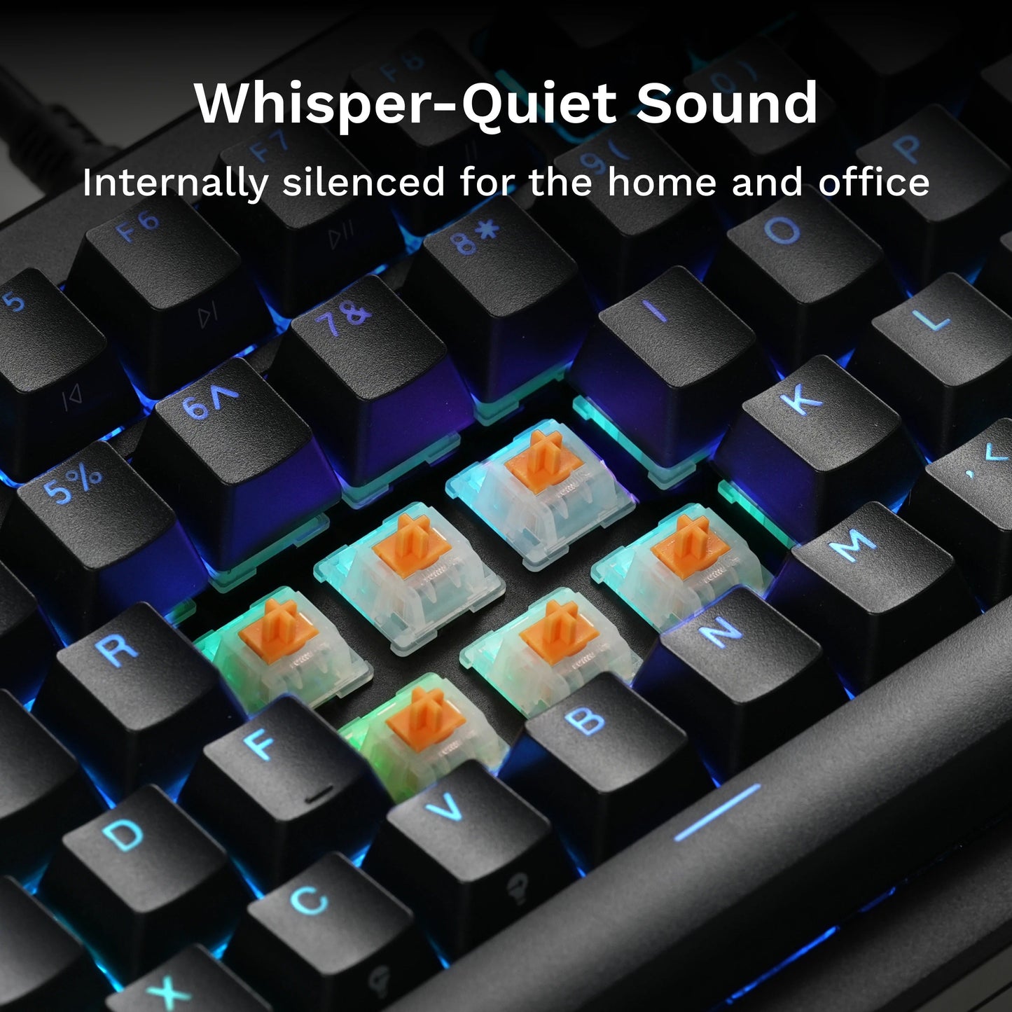 Panda MX Switches