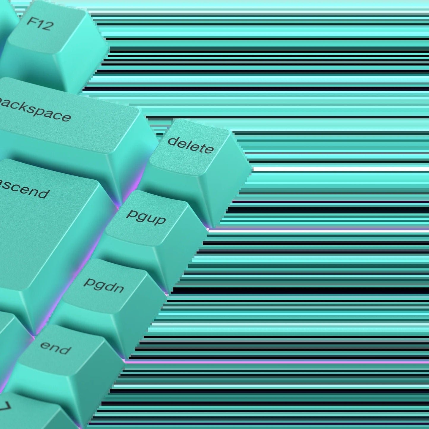 Keycaps Rainforest UK