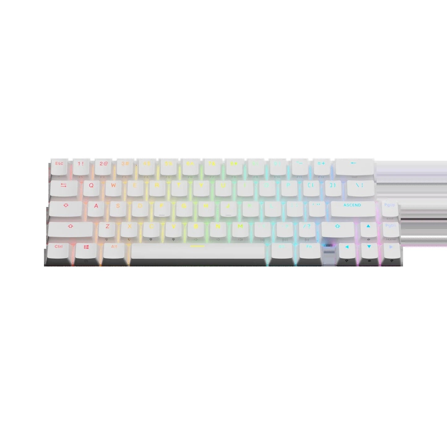 Keycaps Backlit White US
