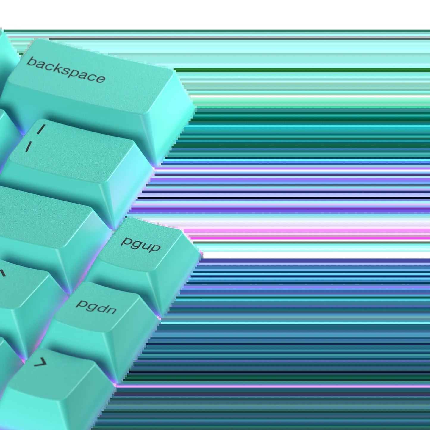 Keycaps Rainforest US