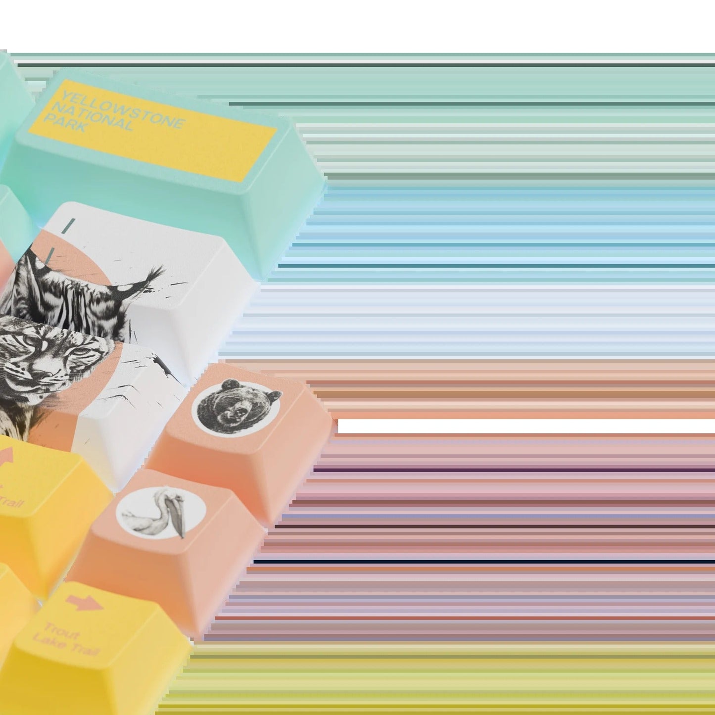 Keycaps Limited Edition Yellowstone US