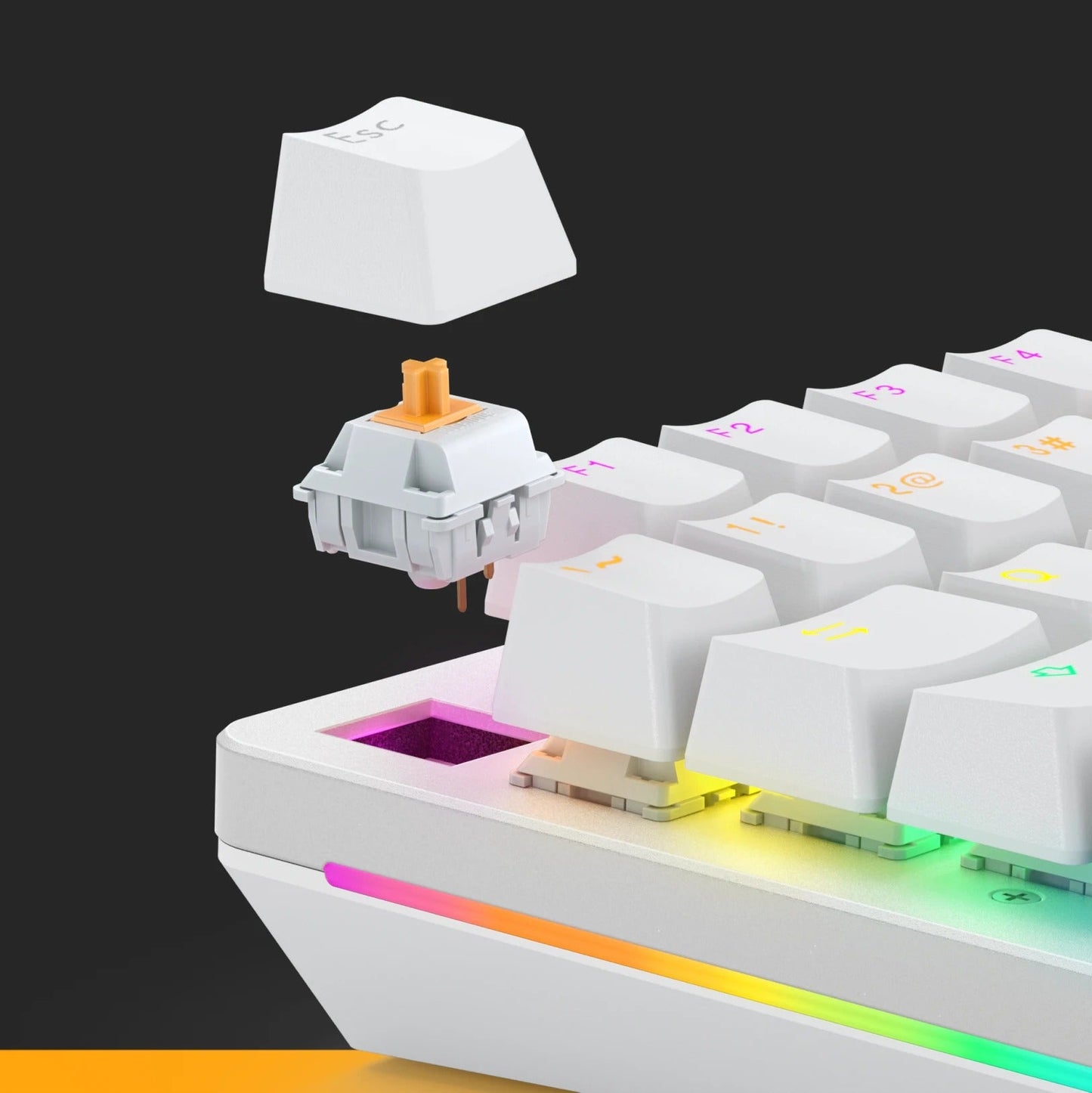 Panda Switches + Toy Bundle