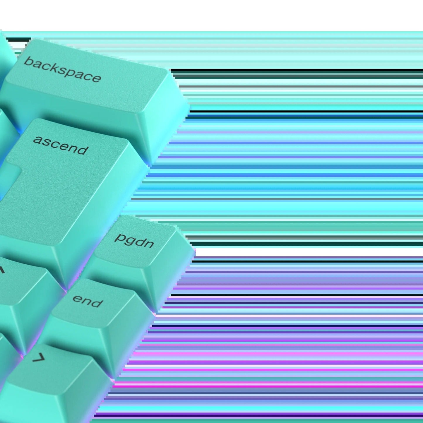 Keycaps Rainforest UK