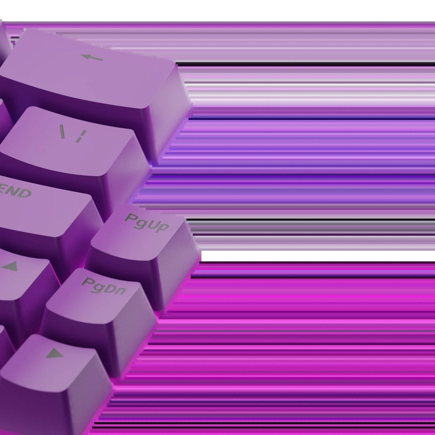 Keycaps Basics Epic Purple US