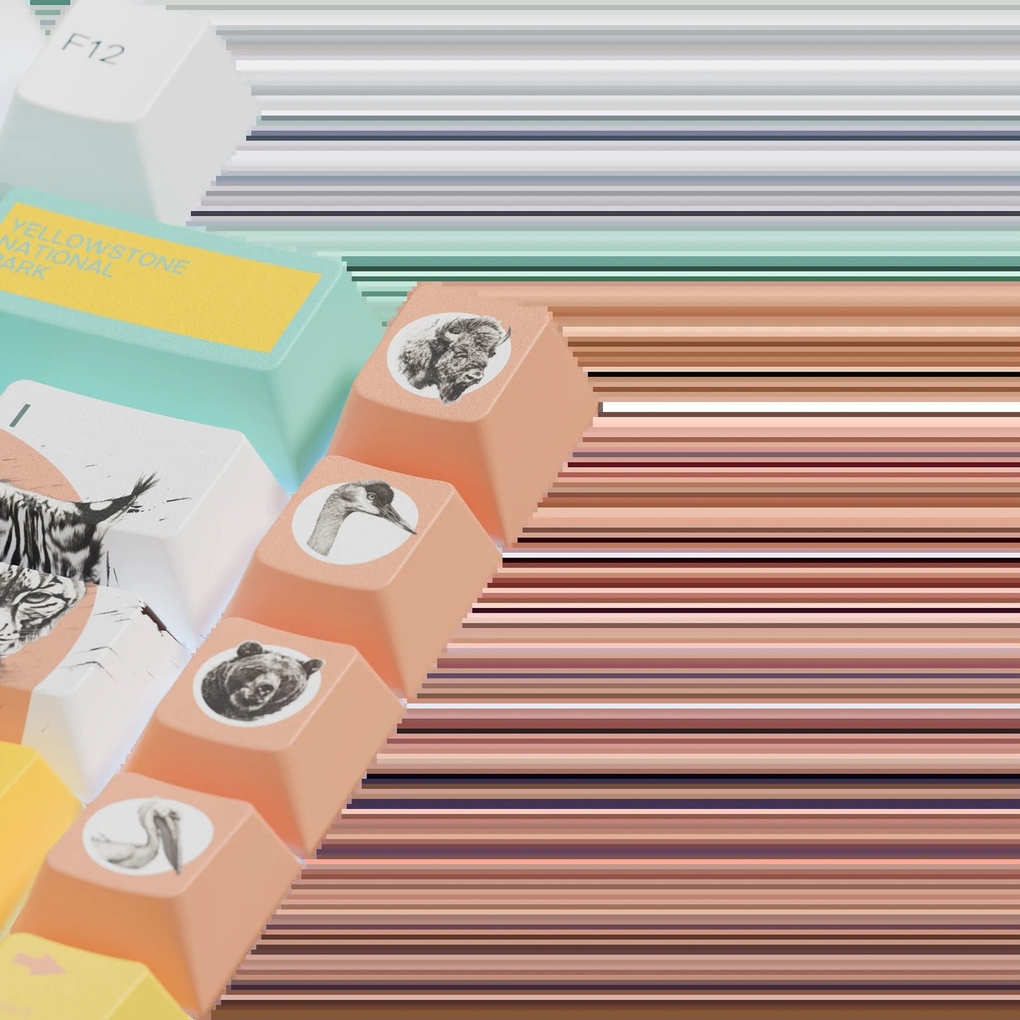 Keycaps Limited Edition Yellowstone US