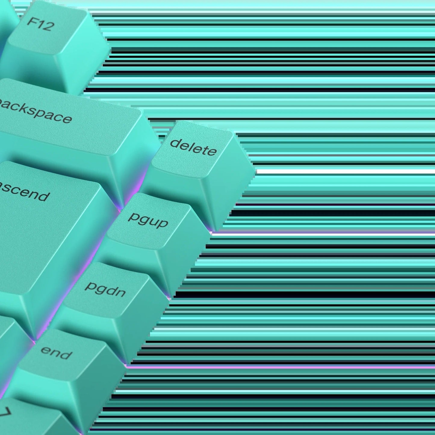 Keycaps Rainforest Nordic