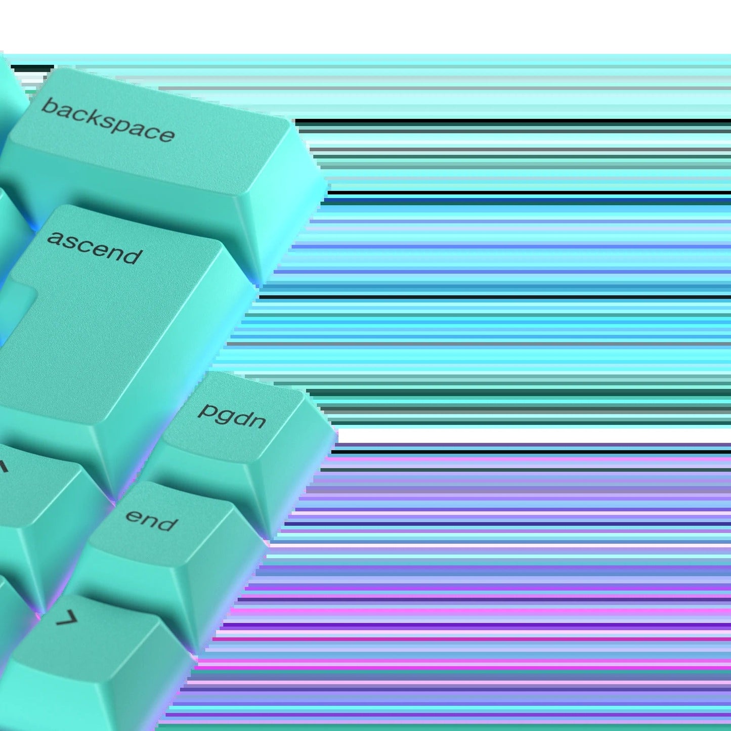 Keycaps Rainforest Nordic