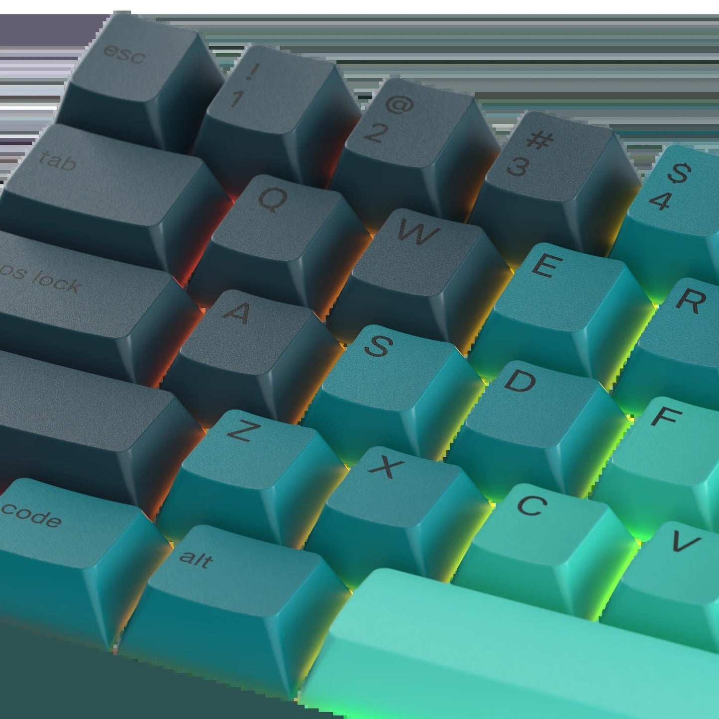 Keycaps Rainforest US